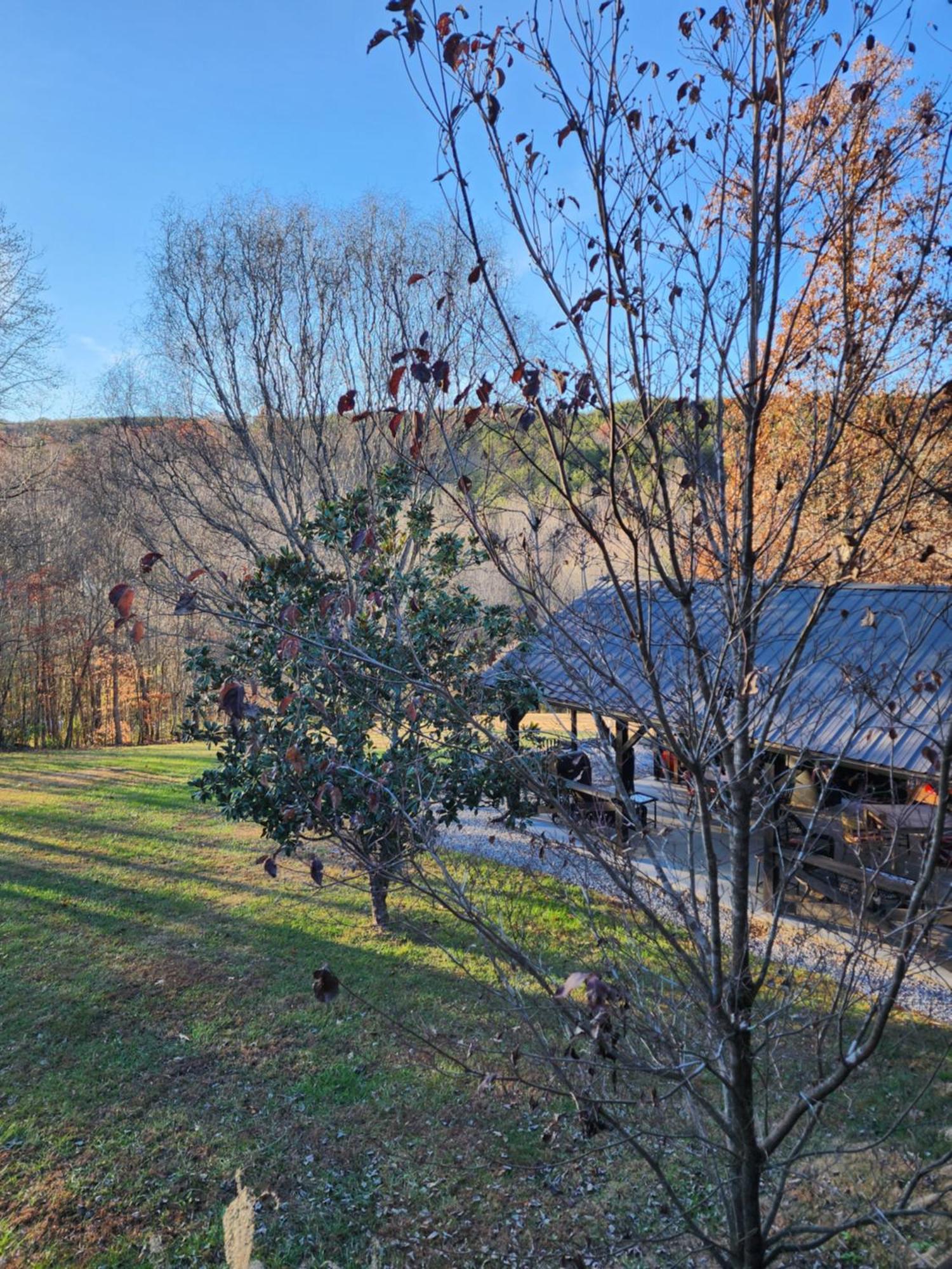 Lodge At Tellico Tellico Plains Exteriör bild